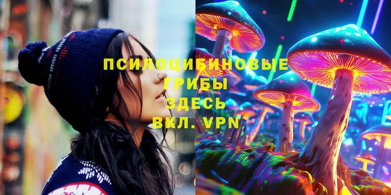 Псилоцибиновые грибы Magic Shrooms  Губкин 